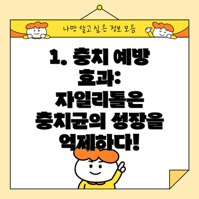 1. 충치 예방 효과: 자일리톨은 충치균의 성장을 억제하다!