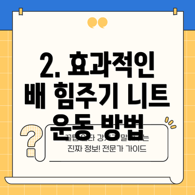2. 효과적인 배 힘주기 니트 운동 방법