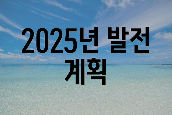 2025년 발전 계획