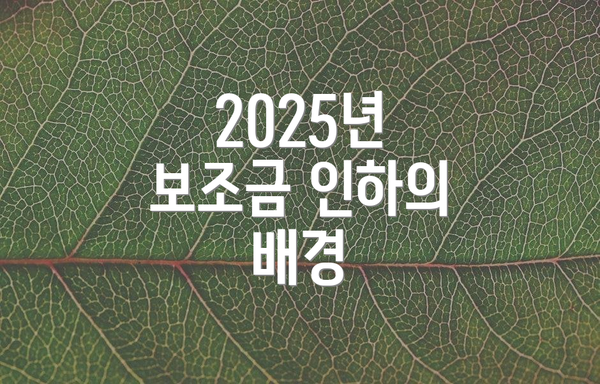 2025년 보조금 인하의 배경
