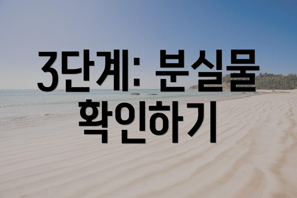 3단계: 분실물 확인하기