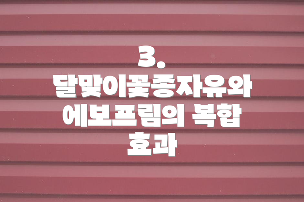 3. 달맞이꽃종자유와 에보프림의 복합 효과