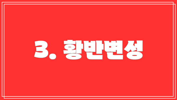 3. 황반변성