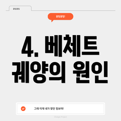 4. 베체트 궤양의 원인