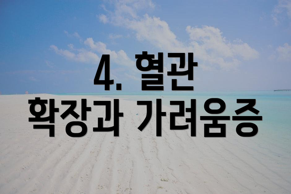 4. 혈관 확장과 가려움증