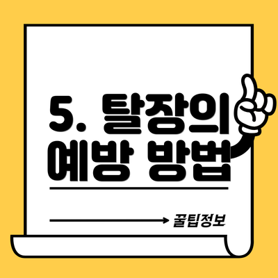 5. 탈장의 예방 방법