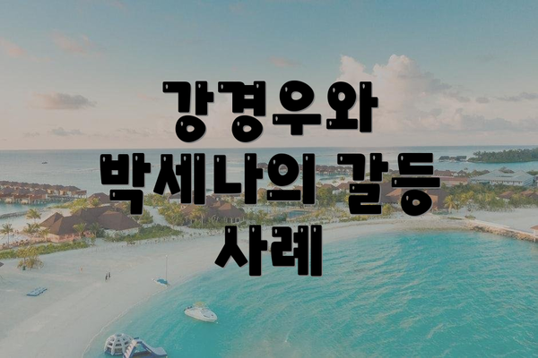 강경우와 박세나의 갈등 사례