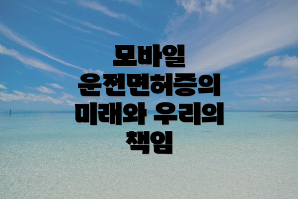 모바일 운전면허증의 미래와 우리의 책임