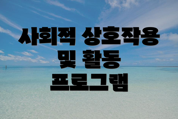 사회적 상호작용 및 활동 프로그램