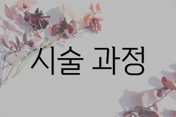 시술 과정