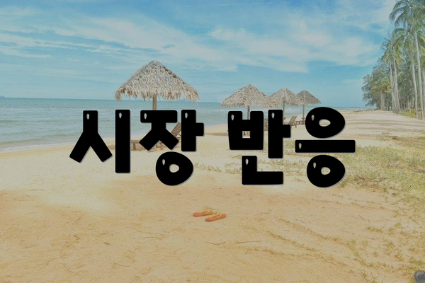 시장 반응