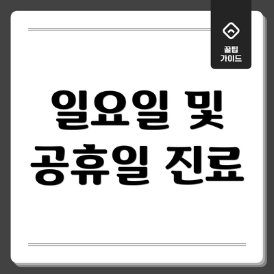 일요일 및 공휴일 진료