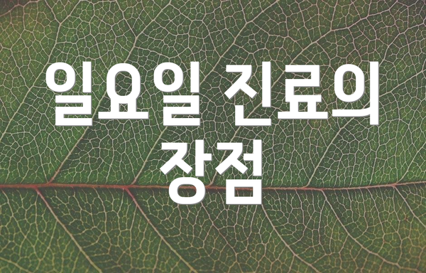 일요일 진료의 장점