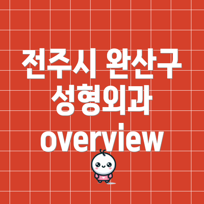 전주시 완산구 성형외과 overview