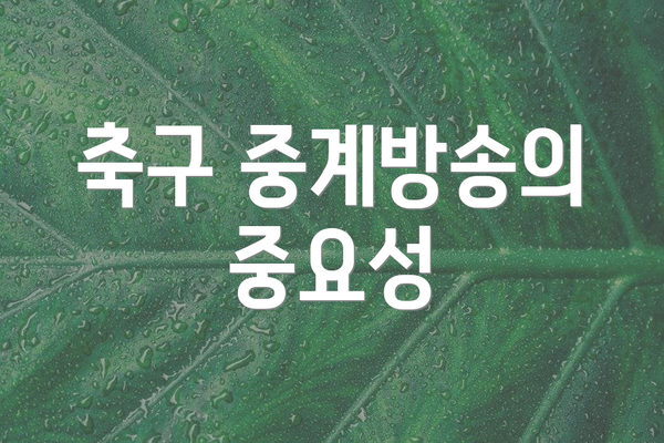 축구 중계방송의 중요성