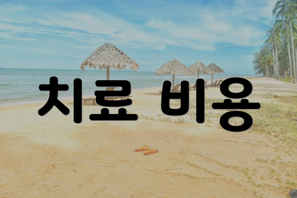 치료 비용