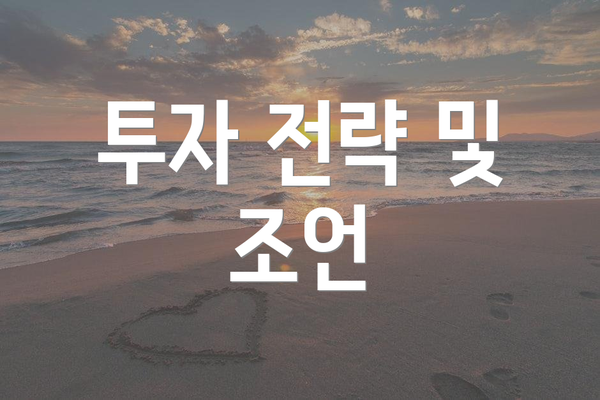 투자 전략 및 조언