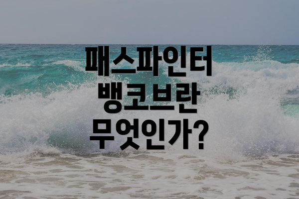 패스파인터 뱅코브란 무엇인가?