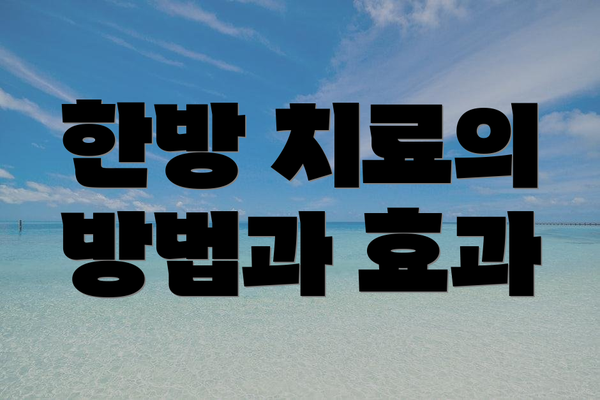 한방 치료의 방법과 효과