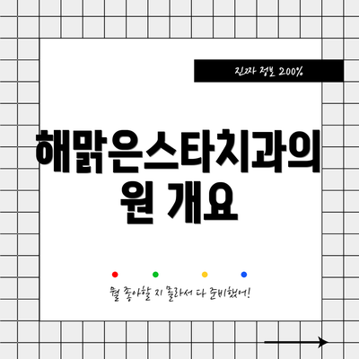 해맑은스타치과의원 개요