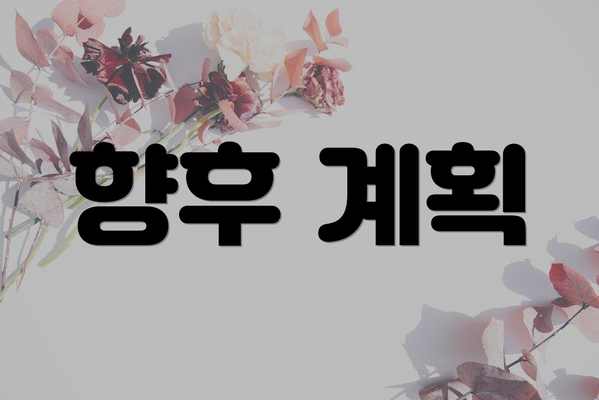 향후 계획