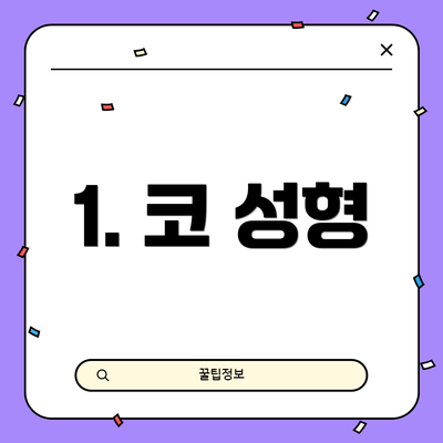 1. 코 성형