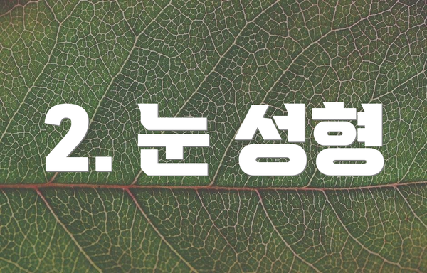 2. 눈 성형