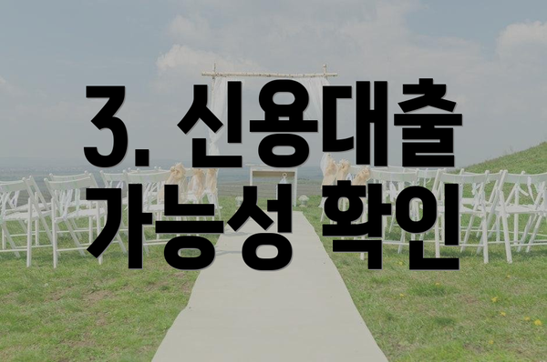 3. 신용대출 가능성 확인