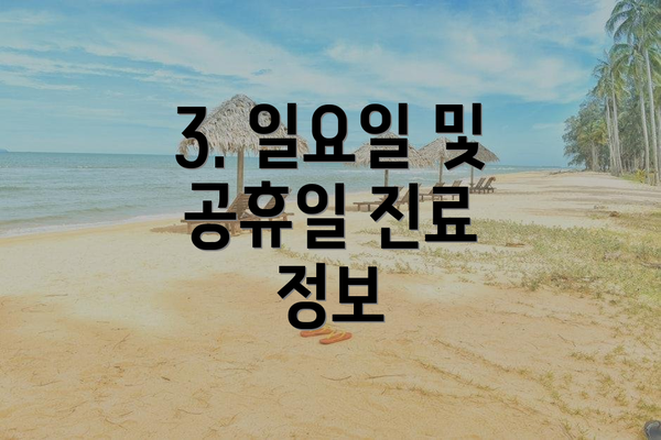 3. 일요일 및 공휴일 진료 정보