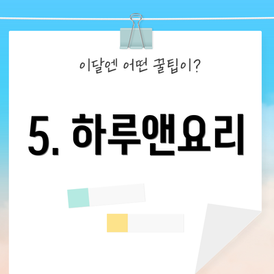 5. 하루앤요리