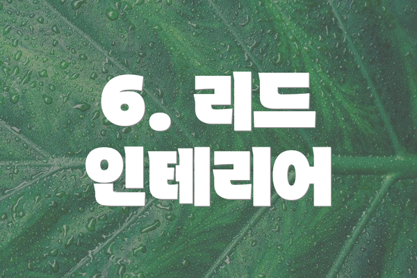 6. 리드 인테리어