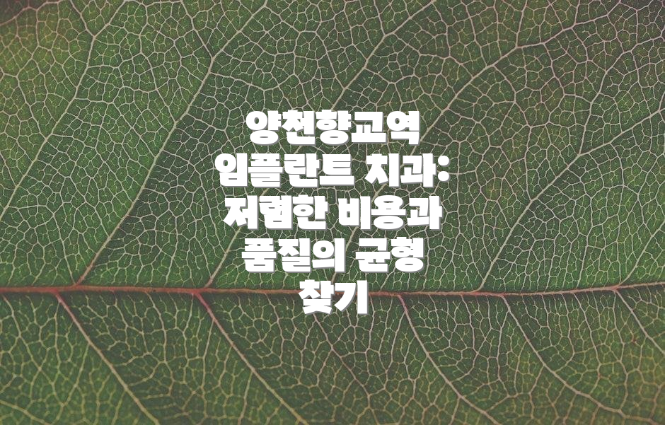 양천향교역 임플란트 치과: 저렴한 비용과 품질의 균형 찾기