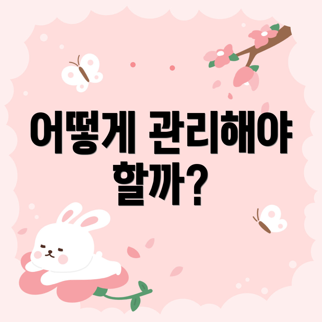 어떻게 관리해야 할까?