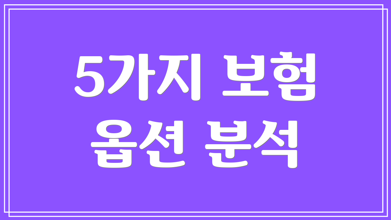 5가지 보험 옵션 분석