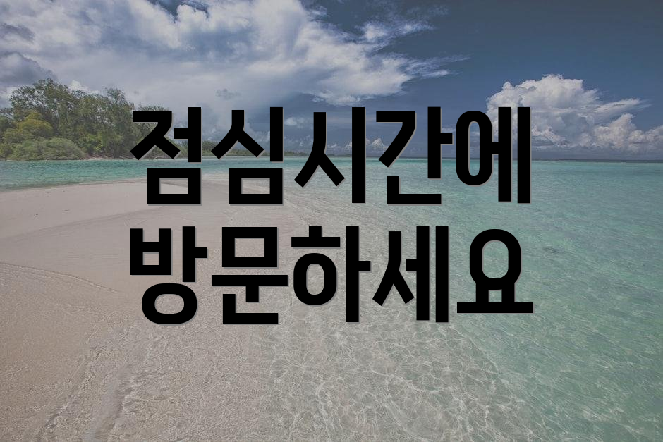 점심시간에 방문하세요