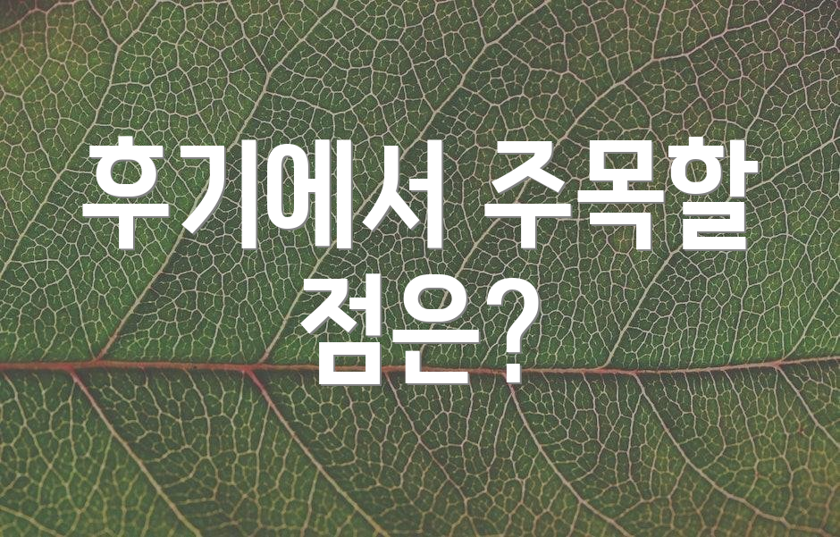후기에서 주목할 점은?