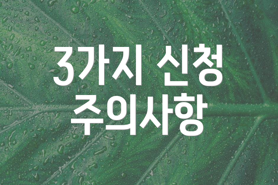 3가지 신청 주의사항