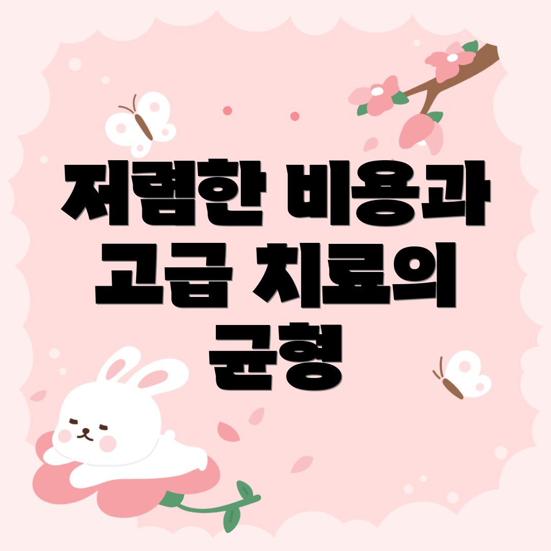 저렴한 비용과 고급 치료의 균형