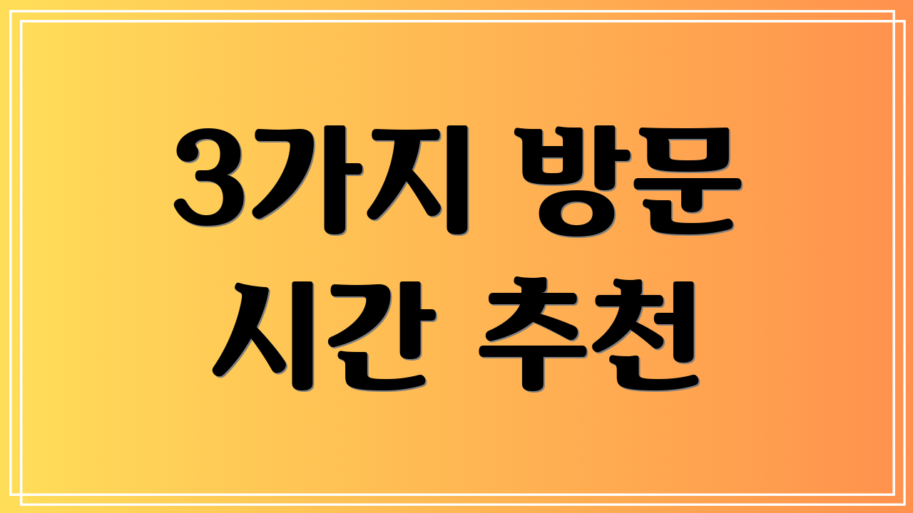 3가지 방문 시간 추천