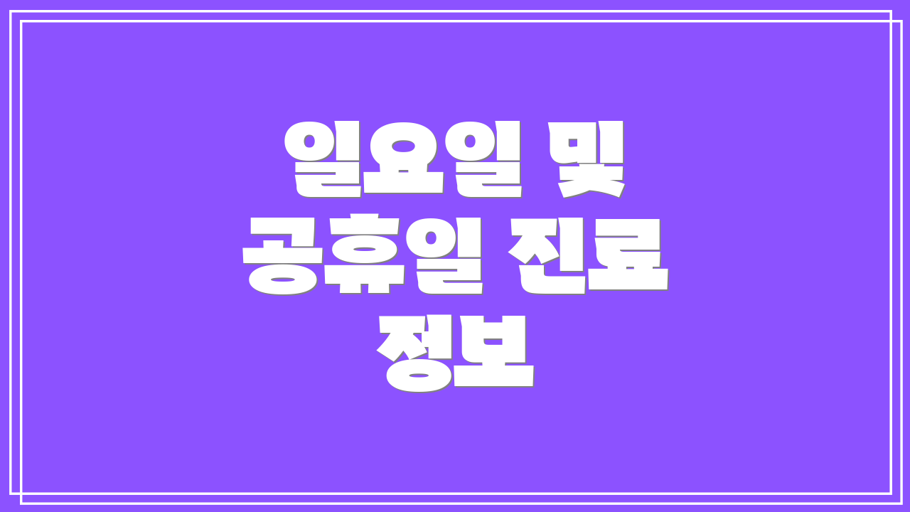 일요일 및 공휴일 진료 정보
