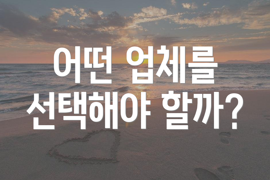 어떤 업체를 선택해야 할까?