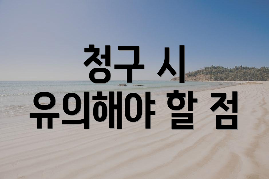 청구 시 유의해야 할 점