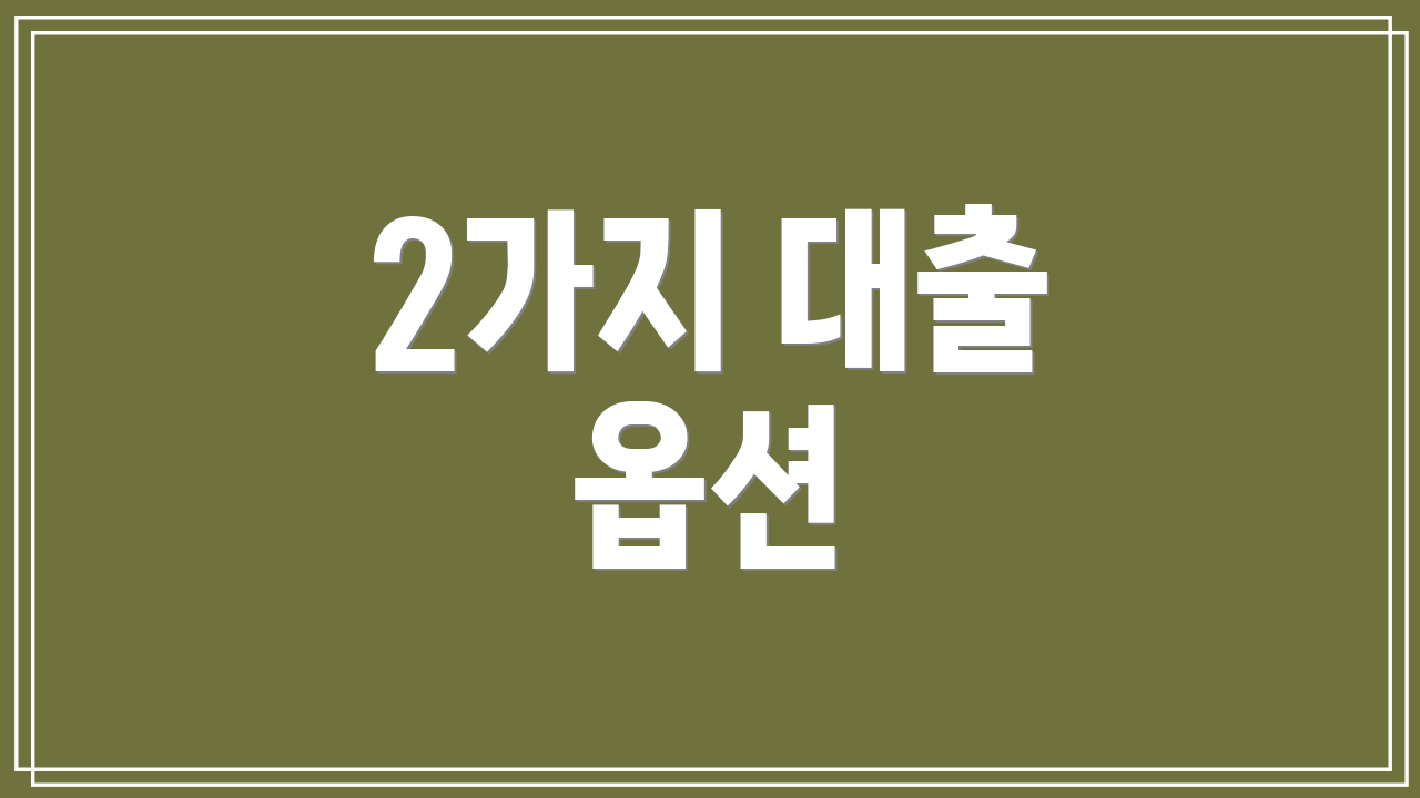 2가지 대출 옵션
