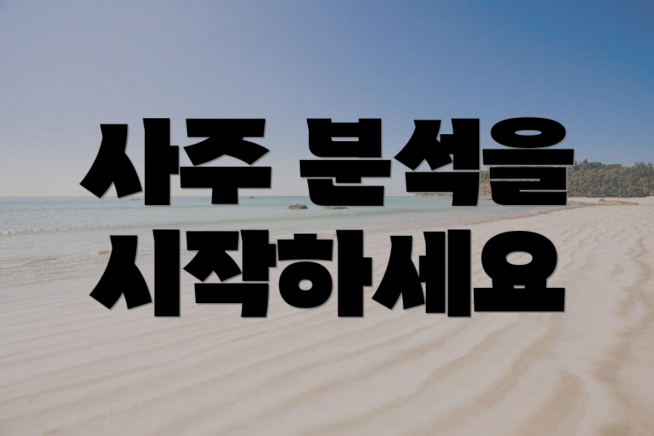사주 분석을 시작하세요