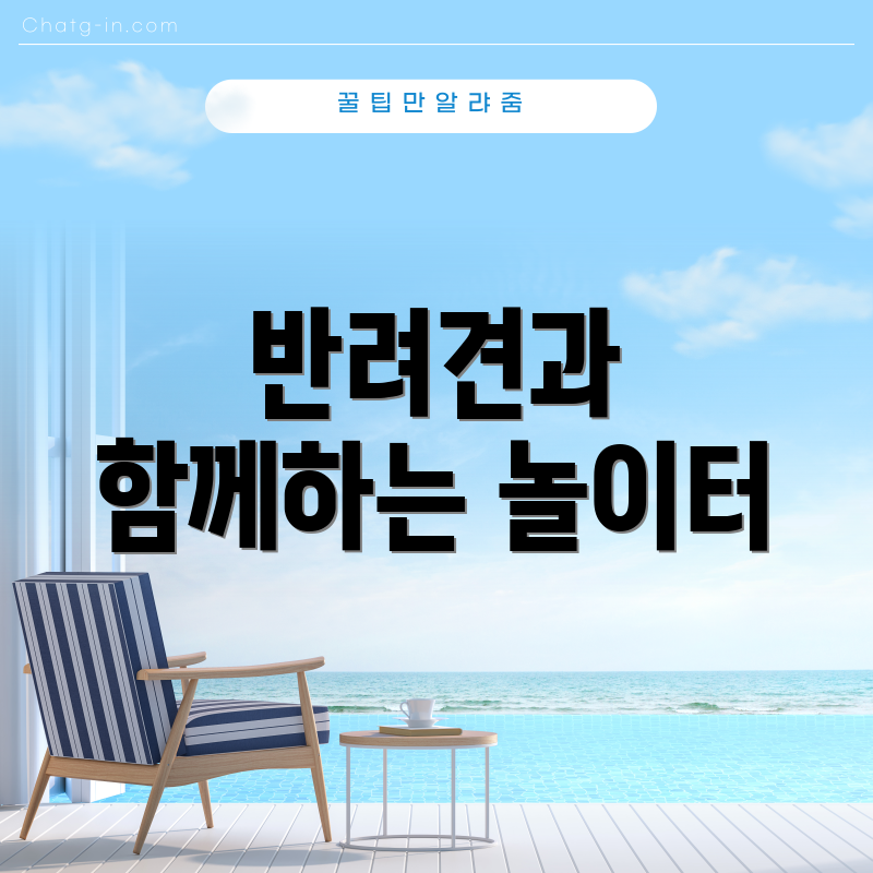 반려견과 함께하는 놀이터