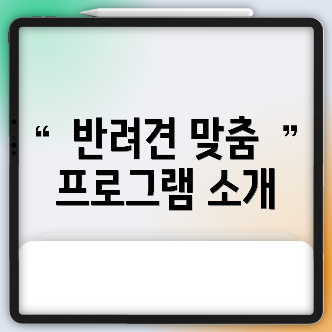 반려견 맞춤 프로그램 소개