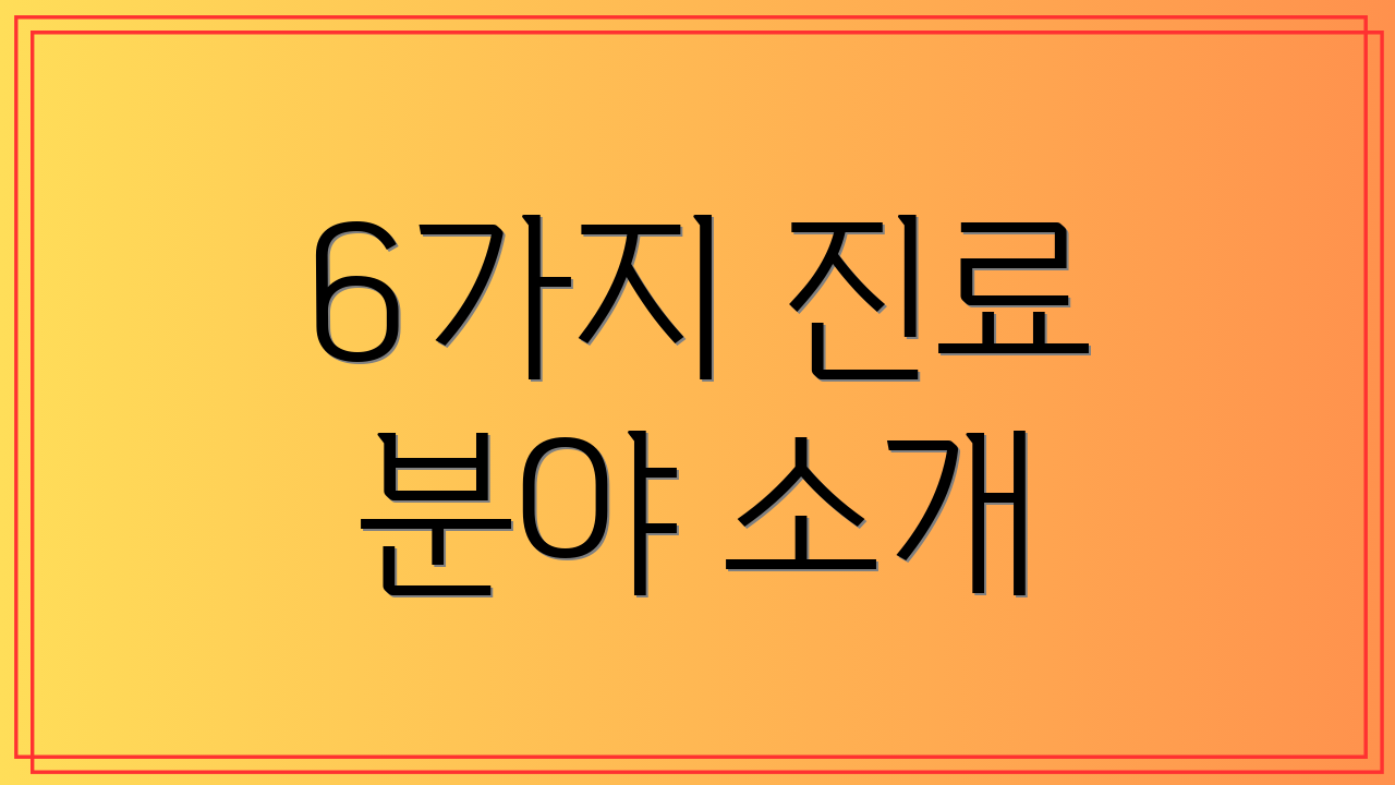 6가지 진료 분야 소개