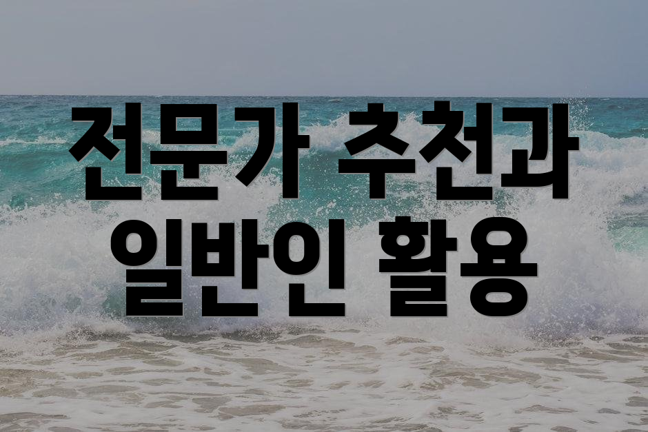 전문가 추천과 일반인 활용