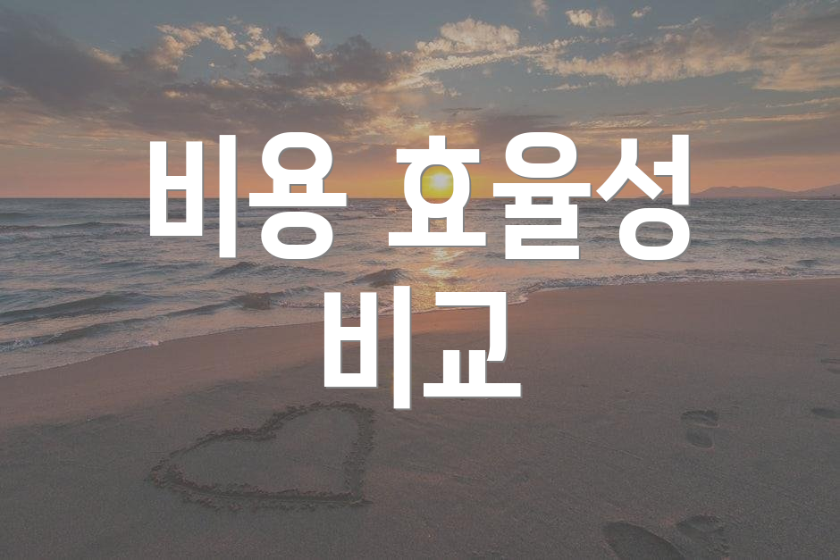 비용 효율성 비교