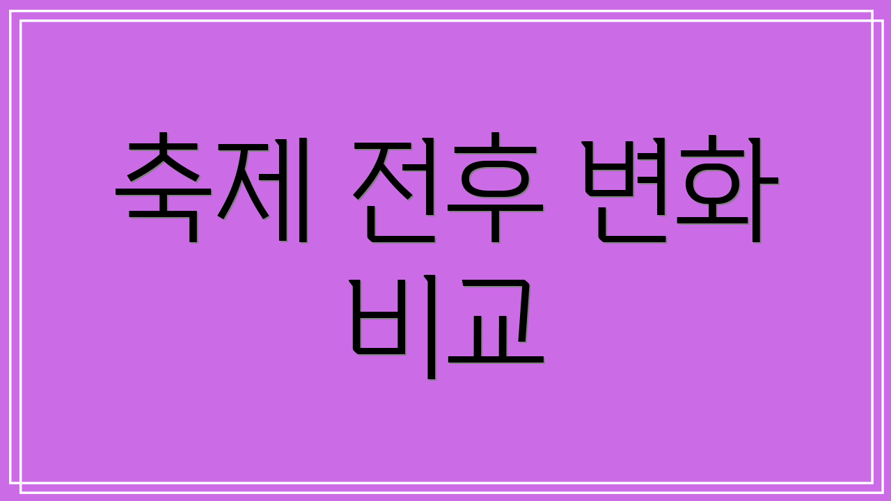축제 전후 변화 비교